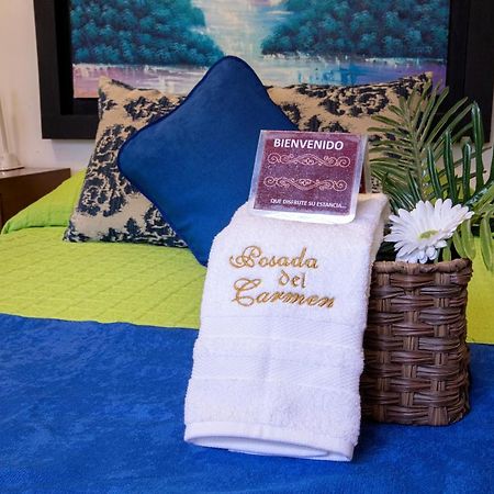 Hotel Posada Del Carmen San Luis Potosí Esterno foto