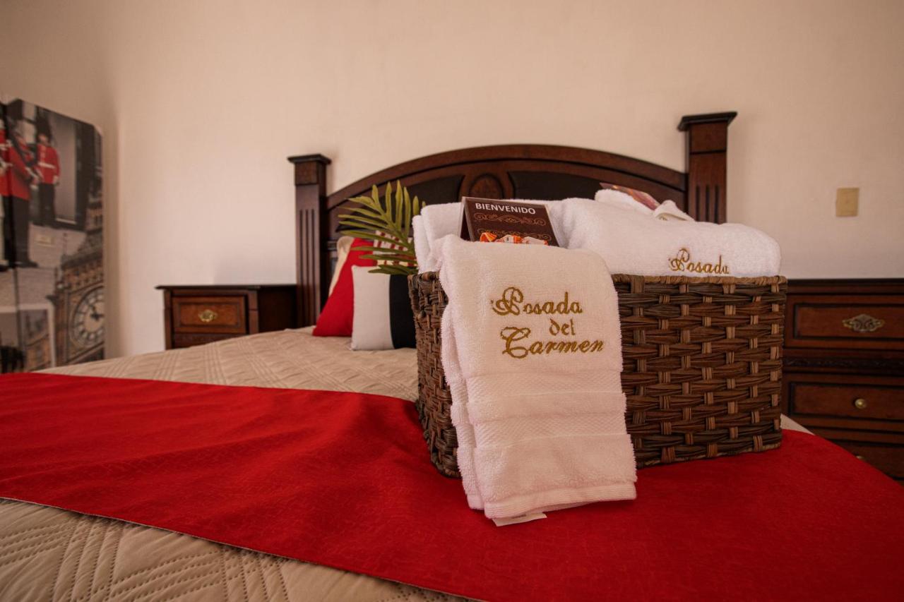 Hotel Posada Del Carmen San Luis Potosí Esterno foto
