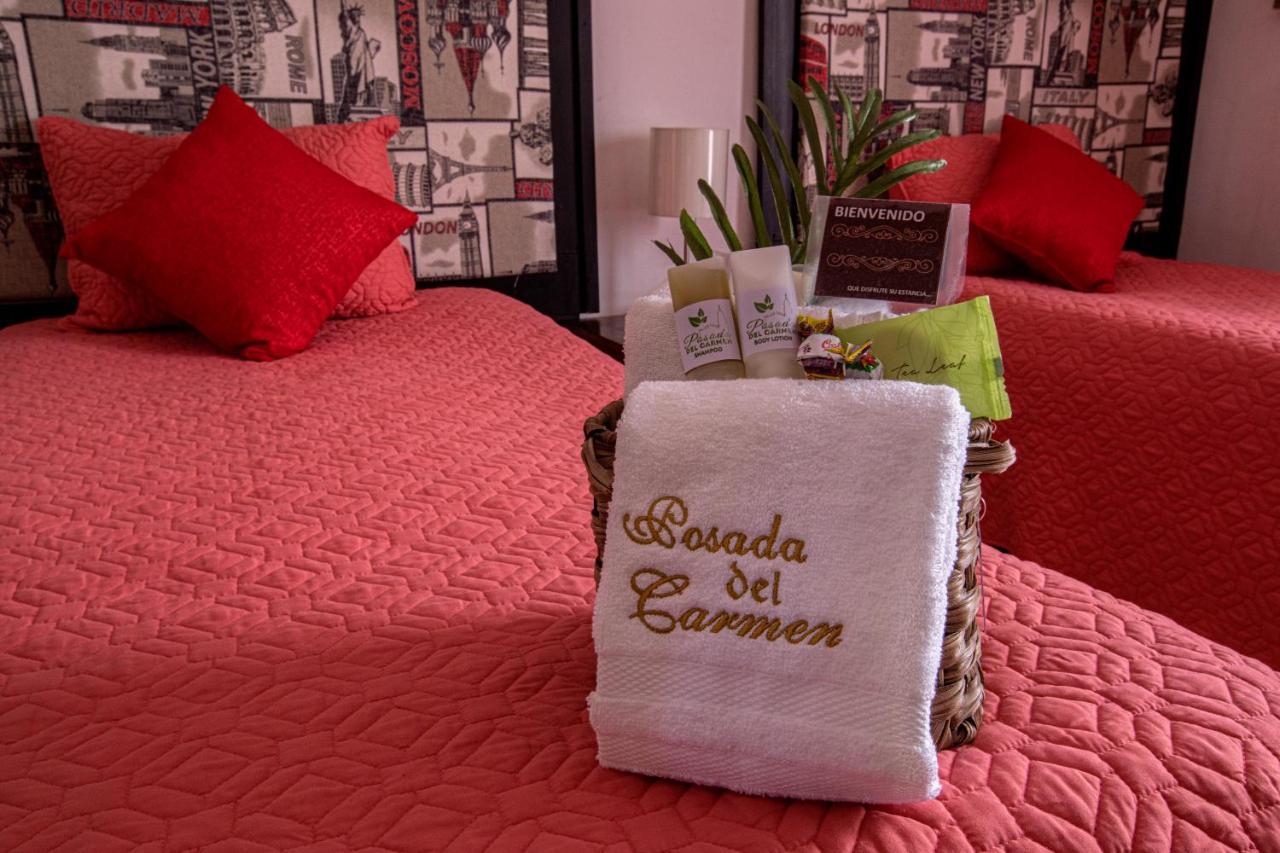 Hotel Posada Del Carmen San Luis Potosí Esterno foto
