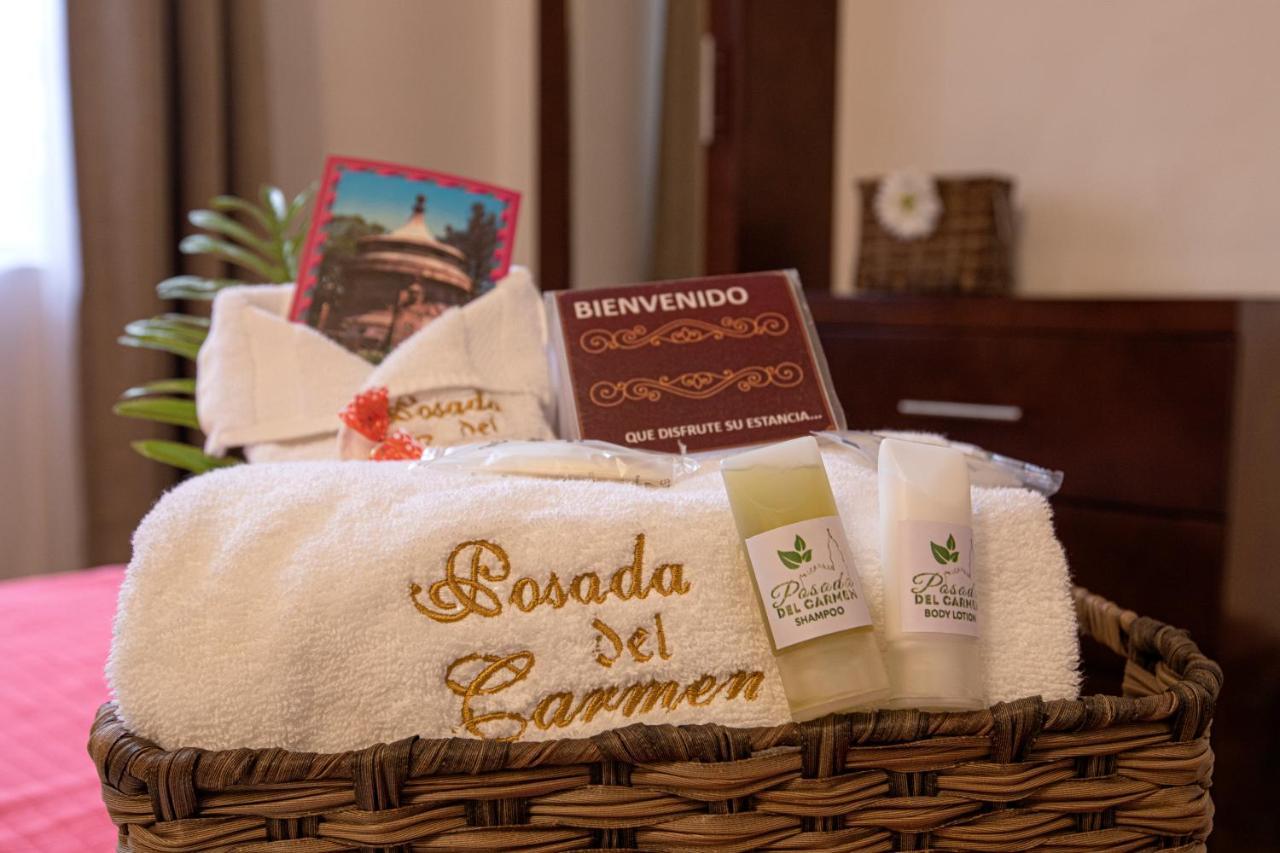 Hotel Posada Del Carmen San Luis Potosí Esterno foto